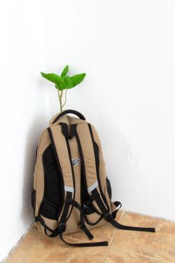 Missing alternative text