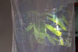 Missing alternative text