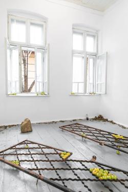 Missing alternative text