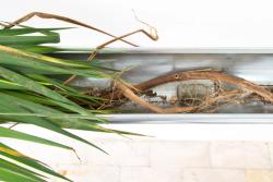 Missing alternative text