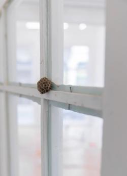 Missing alternative text