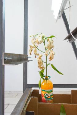 Missing alternative text