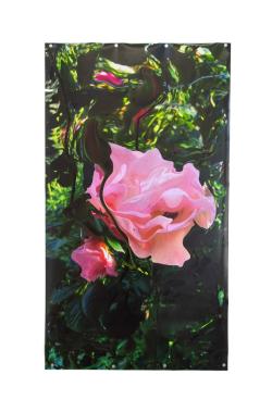 Missing alternative text