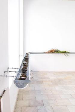 Missing alternative text