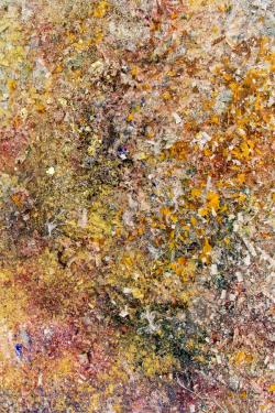 Missing alternative text