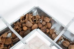 Missing alternative text