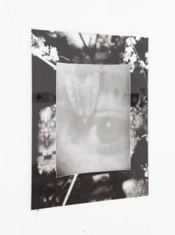 Missing alternative text