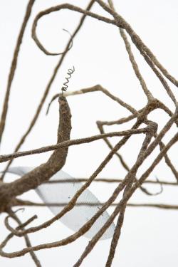 Missing alternative text