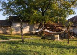 Missing alternative text