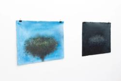 Missing alternative text