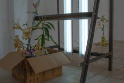 Missing alternative text