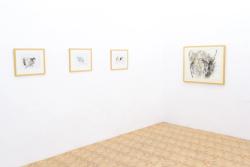 Missing alternative text