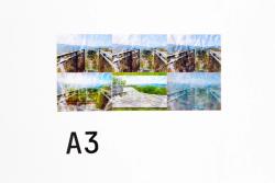 Missing alternative text