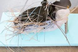 Missing alternative text