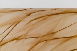 Missing alternative text