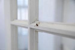 Missing alternative text