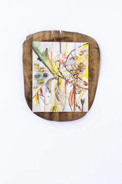 Missing alternative text