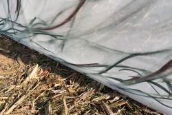 Missing alternative text