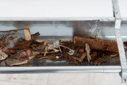 Missing alternative text