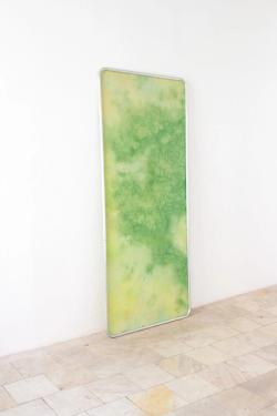 Missing alternative text