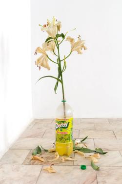 Missing alternative text