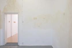 Missing alternative text