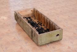 Missing alternative text