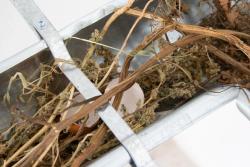 Missing alternative text