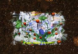 Missing alternative text