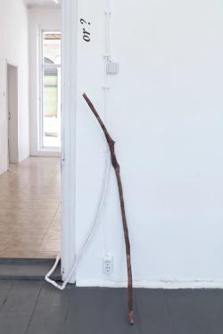 Missing alternative text