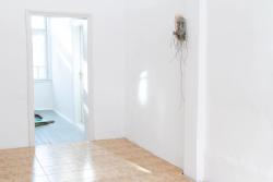 Missing alternative text