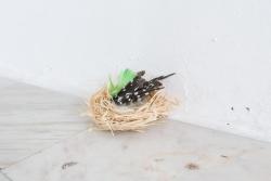 Missing alternative text