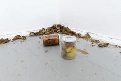 Missing alternative text