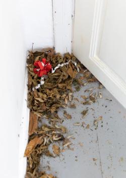 Missing alternative text