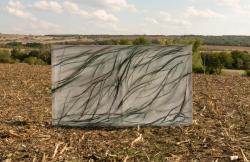 Missing alternative text