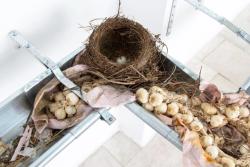 Missing alternative text