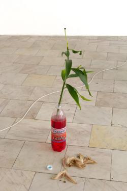 Missing alternative text