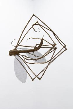 Missing alternative text