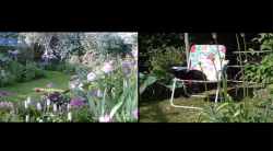 Missing alternative text