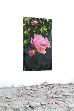 Missing alternative text