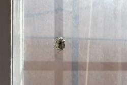 Missing alternative text