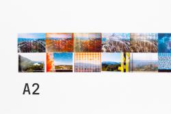 Missing alternative text