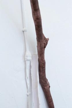 Missing alternative text