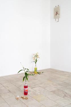 Missing alternative text