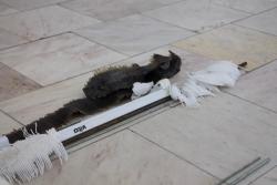 Missing alternative text