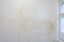 Missing alternative text