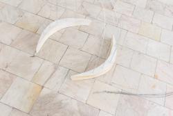 Missing alternative text