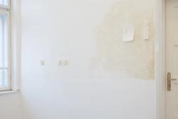 Missing alternative text