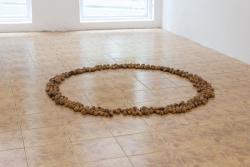 Missing alternative text