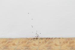 Missing alternative text